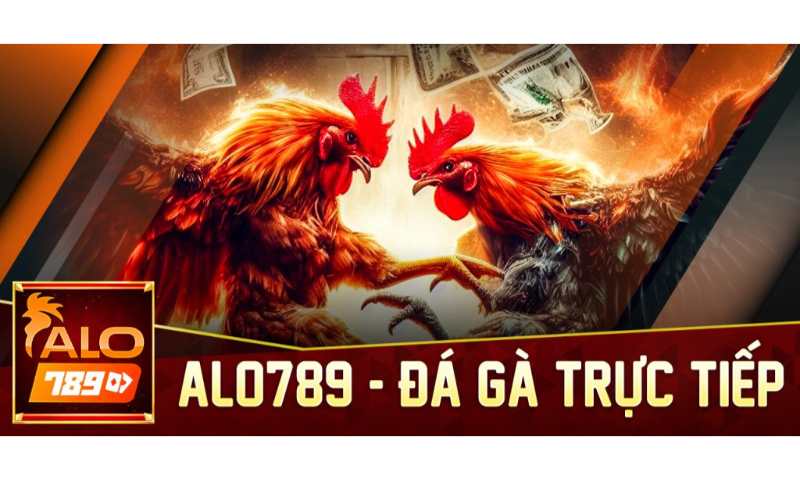 Đá gà trực tiếp Alo789 hấp dẫn hàng đầu hiện nay