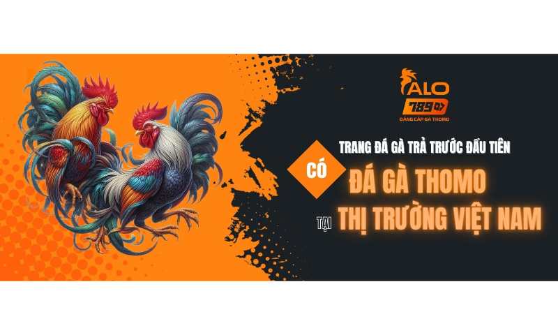 Những ưu điểm nổi bật của nhà cái đá gà Alo789