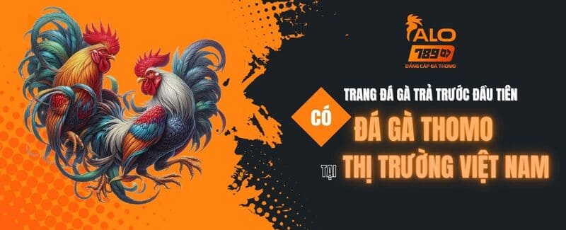 Đá gà Thomo trả trước