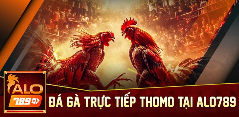 Thông báo kèo cược trên website