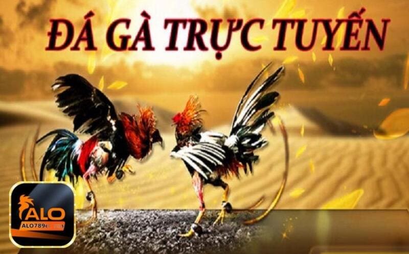Hiểu cách tính điểm tính tiền