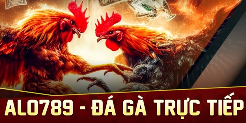 Tips đá gà cựa sắt ăn đậm tiền thưởng