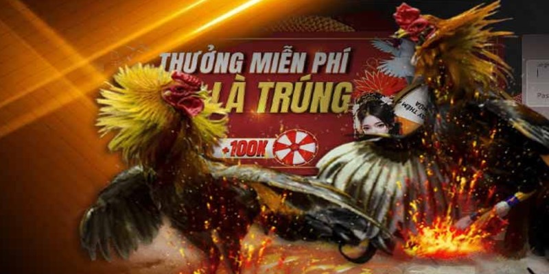 Giới thiệu về khuyến mãi Alo789