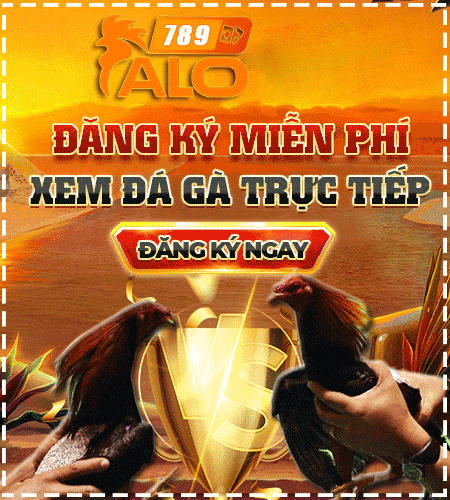 banner đá gà alo789