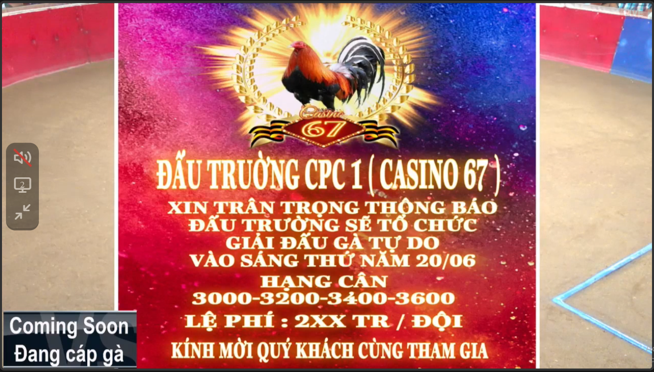 Thông báo giải gà tự do cpc1 ngày 20-06-2024